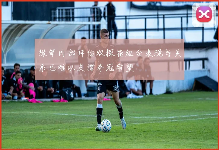绿军内部评估双探花组合表现与关系已难以支撑夺冠希望